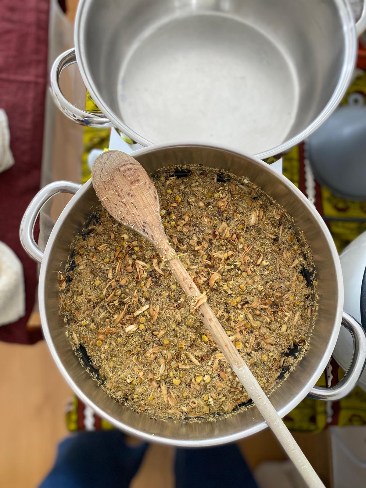 Ayurvedic wellness and natural healing